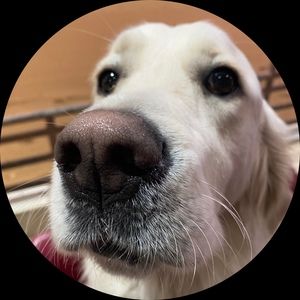 Meet your Posher, Kyndall